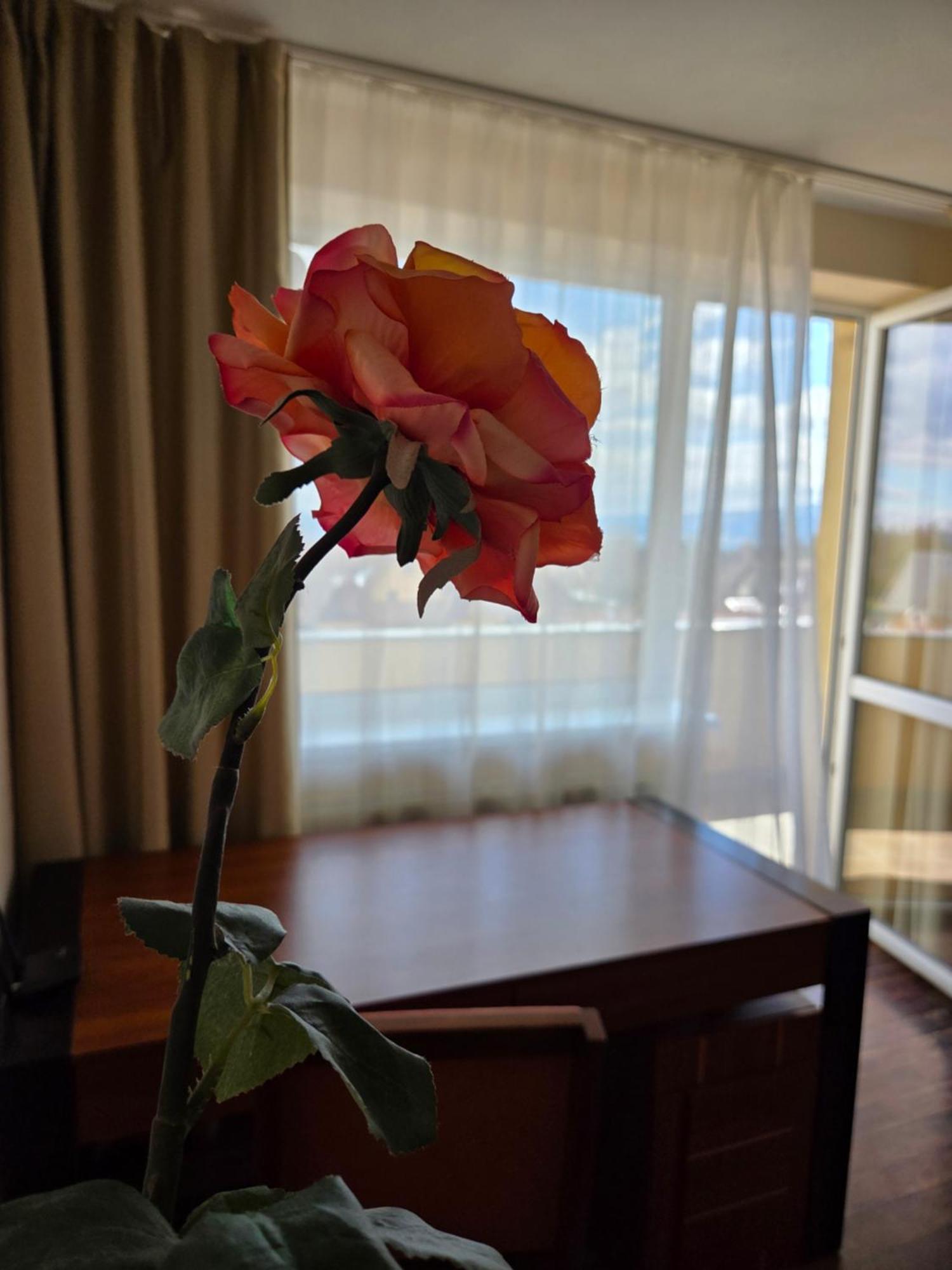 Apartment High Tatras Veľký Slavkov Eksteriør bilde